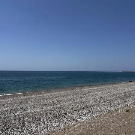 Mavi